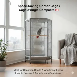 Space-saving corner cage design for African Grey parrots, ideal for Canadian condo and apartment living.