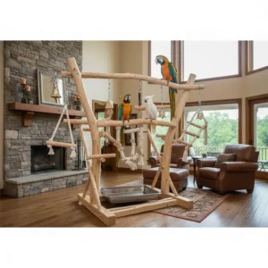 Heavy-duty bird play gyms for large Macaws and Cockatoos with sturdy perches and toy hooks.