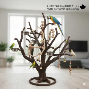 A multi-branch natural Java tree bird stand design encouraging foraging and exercise for indoor pet birds.