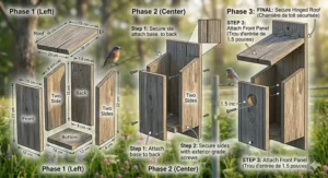 Step-by-step assembly guide for a DIY bluebird nesting box (Nichoir pour Merlebleu).