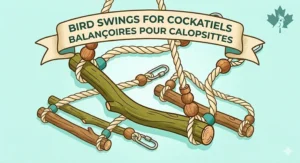 Stylized graphic of bird swings for cockatiels (balançoires pour calopsittes) showcasing top-rated designs for the Canadian market.