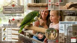 Close-up illustration of a bird's claws being naturally filed by therapeutic grooming perches for nail trimming.