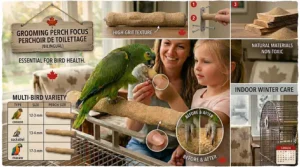 A cozy indoor bird habitat featuring essential grooming perches for nail trimming during a Canadian winter.