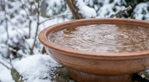 A modern, pedestal-style bird bath with an integrated heater for winter use.