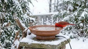 A garden bird bath equipped with an electric de-icer for freezing temperatures.