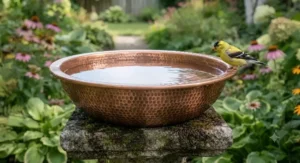 Heated replacement bird bath bowl for winter. Bol de bain d'oiseaux de remplacement chauffant pour l'hiver.