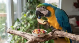 A healthy, vibrant pet parrot snacking on safe fruits from the recommended Canadian parrot diet list