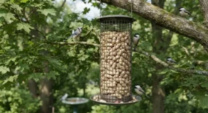 Raw shelled peanuts used as a single ingredient bird seed in a wire mesh feeder.