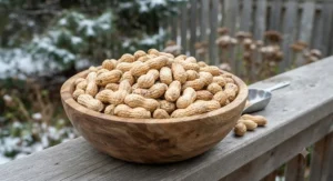 Raw, unsalted, and unroasted peanuts for wild birds displayed in a rustic wooden bowl.