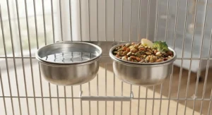 Clean water bowl next to a dish of premium African grey parrot food in a stainless steel cage setup.