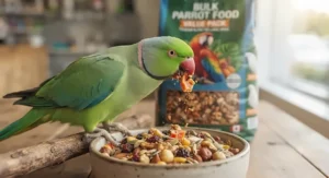 A vibrant green parrot happily eating seeds from a bowl of bulk parrot food value pack.